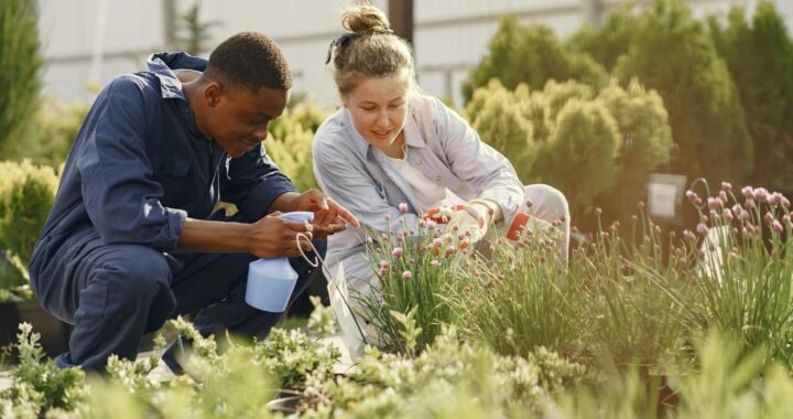 Bio-Dünger: Nachhaltige Pflege für deinen Garten