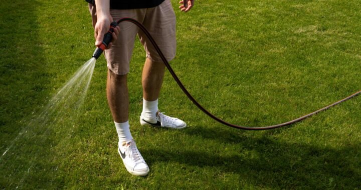 Bio-Rasensamen: Warum sie die beste Wahl für deinen Garten sind